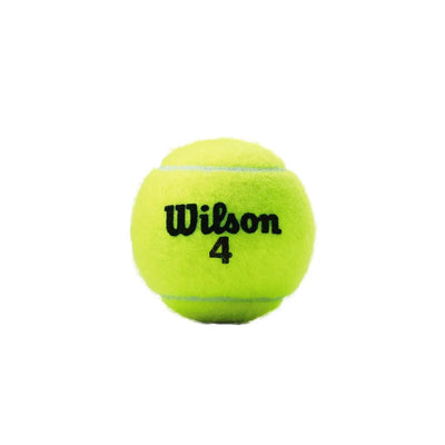 Wilson Tennis Ball Championship Extra Duty 4 Ball